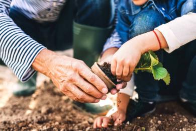 Eduquer, c'est transmettre et apprendre